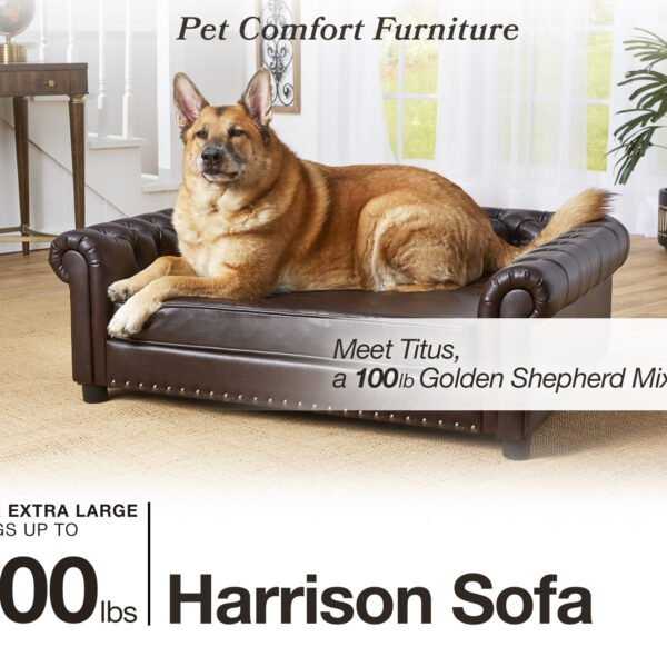 Pet sofa