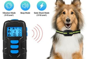 微信图片 20251229155128 1363 40