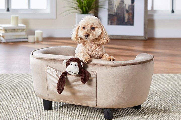 未标题 11 未标题 11