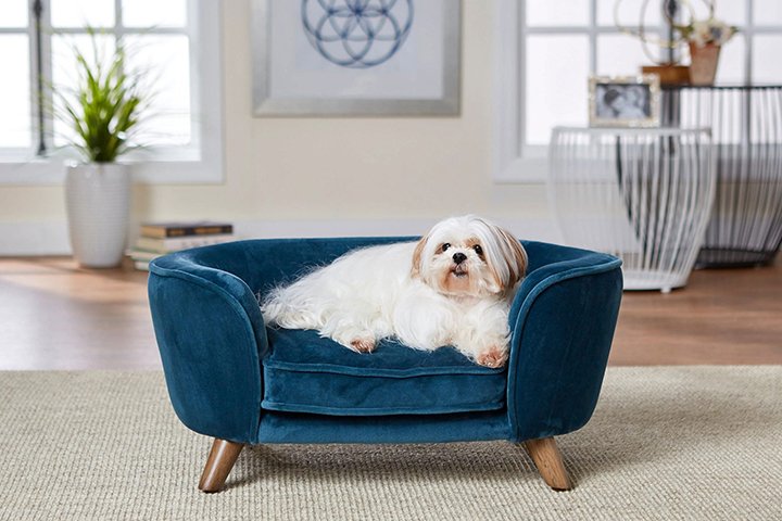 未标题 8 未标题 8